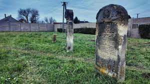 Image result for sényő