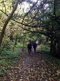 Image result for Compton and Shawford Sports Club