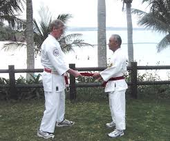 Image result for Devines Martial Arts