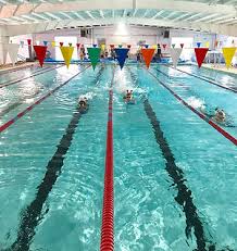 Image result for Portway Swimming Club