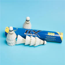 Image result for Flight Badminton Club