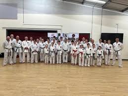 Image result for Nottingham Sankukai Karate