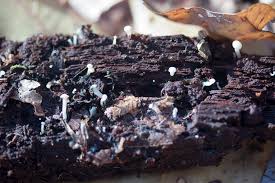 Attēlu rezultāti vaicājumam “Cudoniella acicularis”