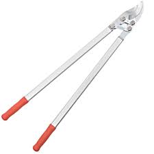 Attēlu rezultāti vaicājumam “Lopinga achine upperside”