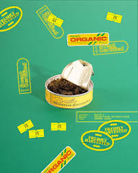 Attēlu rezultāti vaicājumam “Racomitrium heterostichum”