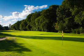 Image result for Bishopbriggs Golf Club