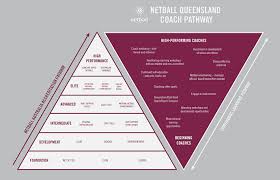Image result for Jays Netball Club