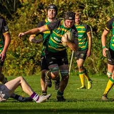 Image result for Effingham and Leatherhead Rfc