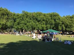 Image result for London Fields Cricket Club