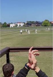 Image result for Plumtree Cricket Club