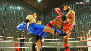 Image result for GFC Muay Thai Boxing