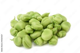 Attēlu rezultāti vaicājumam “Vicia faba”