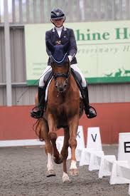 Image result for Interfreestyle Sport Karate