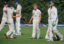 Image result for Wollaston Cricket Club