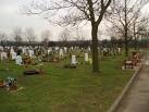 TQ4267 : St. Luke's Cemetery, - via Daymix