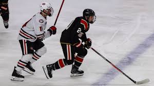 Image result for Godalming In-Line Hockey Club