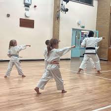 Image result for Didcot Judo and Karate Club