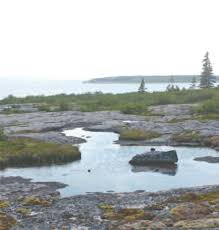 Image result for Badgercote Badminton Club