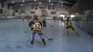 Image result for Dundee Ducks inline roller hockey club