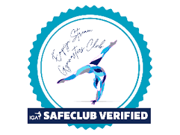 Image result for North Devon Display Gymnastics Club