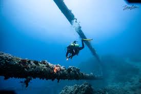 Image result for Deep and Wide Diving