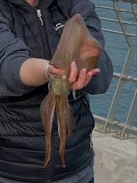 Image result for Annbank Angling Club