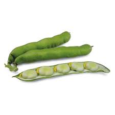 Image result for Dicke Bohnen