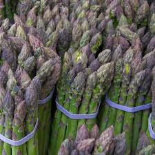 Attēlu rezultāti vaicājumam “Asparagus officinalis fruit”