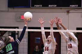 Image result for Clayton Crusaders Badminton Club