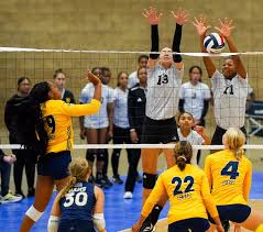 Image result for Devizes Volleyball Club