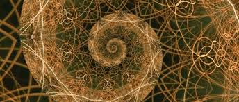 Image result for numero aureo