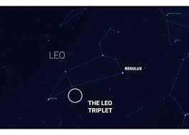 Image result for Leo Twirlstars