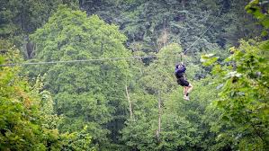 Image result for Go Ape! Leeds Castle