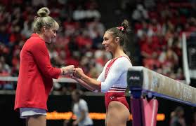 Image result for Redcar School Of Gymnastics