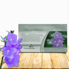 Attēlu rezultāti vaicājumam “Campanula persicifolia bud”