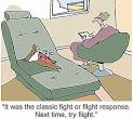 Fight or Flight Response - A built-in Stress Response