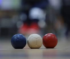 Image result for North Wales Boccia