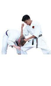 Image result for North Yorkshire Goju Ryu Karate Club