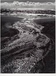 Image result for Ansel Adams Aspens New Mexico