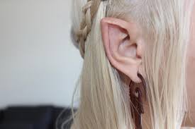 Image result for ear mod