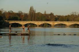 Image result for Serpentine Swimming Club