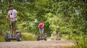 Image result for Go Ape! Moors Valley