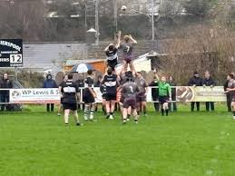 Image result for Pembroke Dock Harlequins RFC