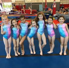 Image result for Bagshot Gymnastics Club