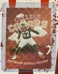 Image result for Rylands Cc