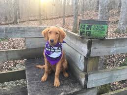 Image result for Geocaching Clubs