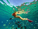 snorkeling | Blog Cabo Pulmo Beach Blogs