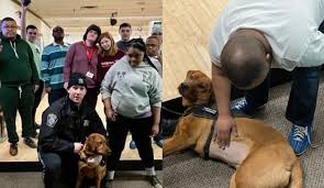 Image result for Dorchester Bowling Club