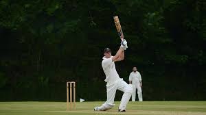 Image result for Yelverton Bohemians Cricket Club