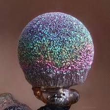 Attēlu rezultāti vaicājumam “Comatricha elegans var. microspora”